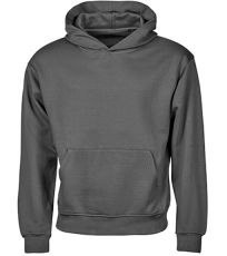 Pánska mikina s kapucňou TJ5162 Tee Jays
