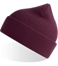Unisex pletená čiapka Nelson Beanie Atlantis